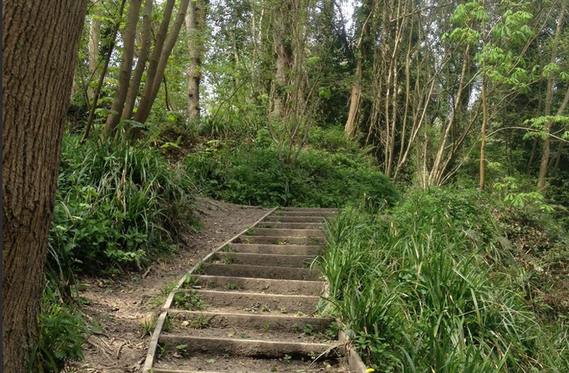 Coronation Wood