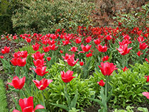 Walled Garden